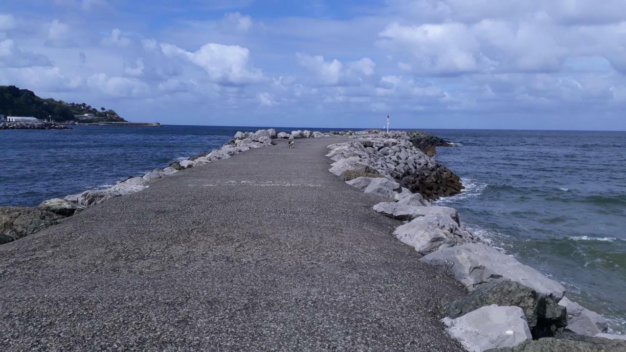 Les Hirondelles 2Km De La Plage-Jardin-Wifi-Parking-Draps Et Serviettes Hendaya Exterior foto
